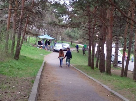 В Пятигорске водители устроили пикник в курортном лесу