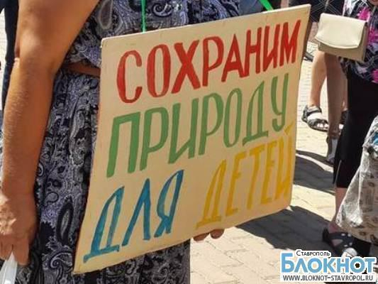 В Ставрополе прошел второй митинг против вырубки деревьев в Таманском лесу