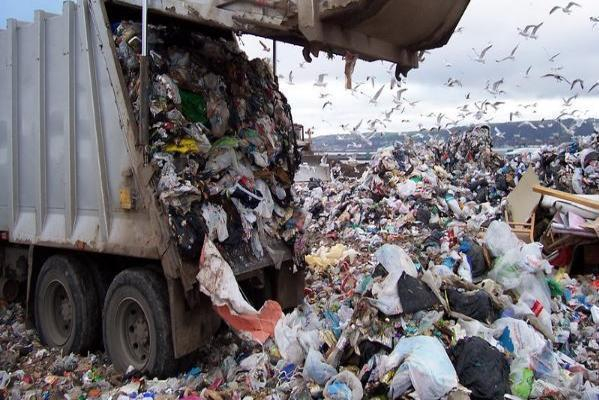 Прокуратура оштрафовала нелегальных мусорщиков в Андроповском районе