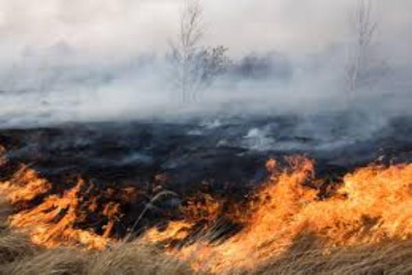 Высокая пожароопасность ожидается 7 июля в Ставропольском крае