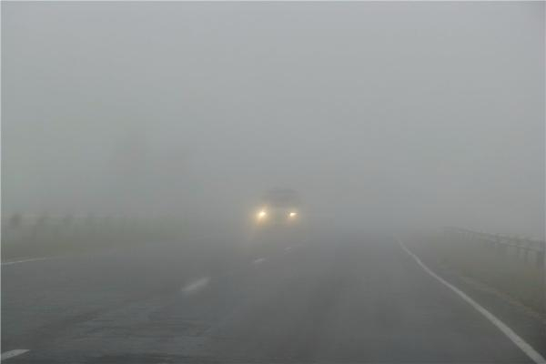 В понедельник на Ставрополье опустится туман