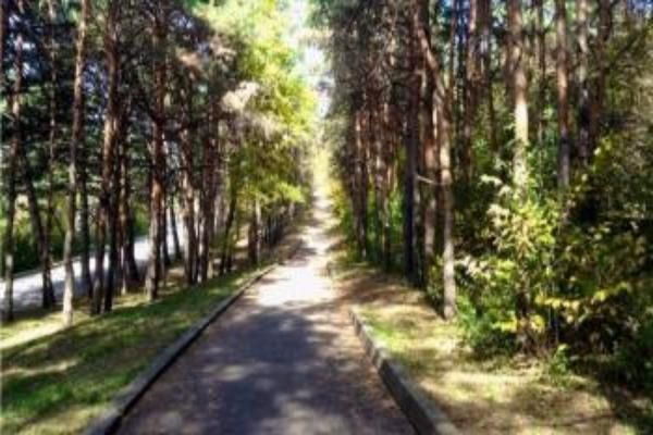 «Тропу братьев Бернардацци» восстановят в Пятигорске до конца года