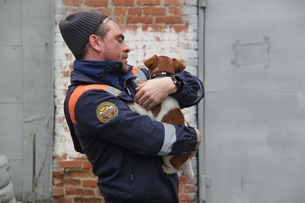 Попавшим в беду коту и щенку помогли спасатели Ставрополья