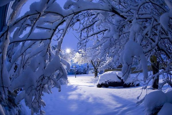 В последний день уходящего года на Ставрополье ожидается крепкий мороз и снегопад