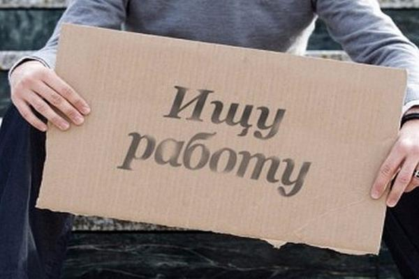 Уровень безработицы вырос в Ставрополе