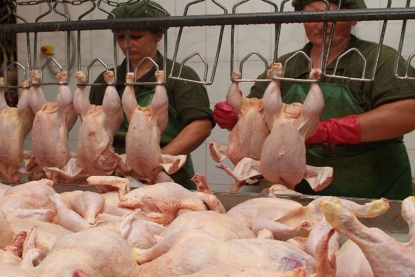Суд рассмотрит иск ставропольских производителей мяса птицы о необоснованном поднятии цен