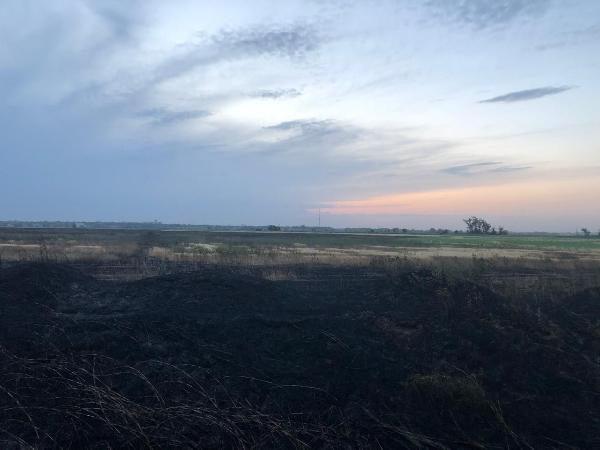 Пожар на ячменном поле в Ставропольского крае обошелся без жертв