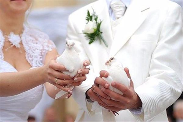 65 семейных пар Ставрополья соединит брачными узами День Влюбленных