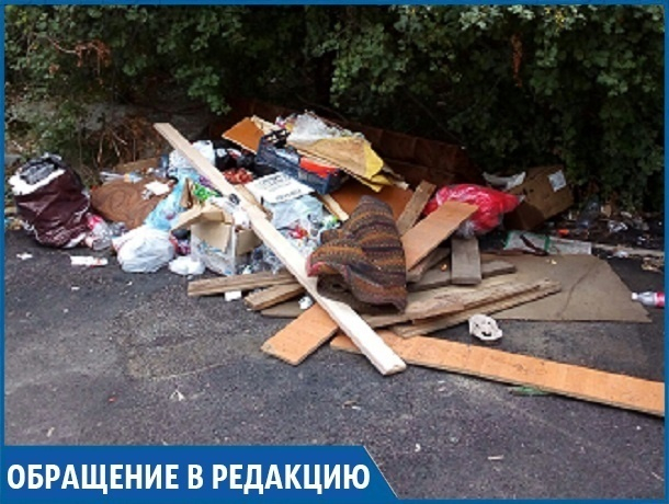 «Контейнеры для мусора убрали, а мусор остался, и где порядок?», - житель Ставрополя