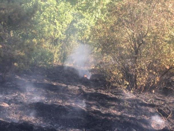 Пожар в национальном парке «Кисловодский» на Ставрополье полностью потушили
