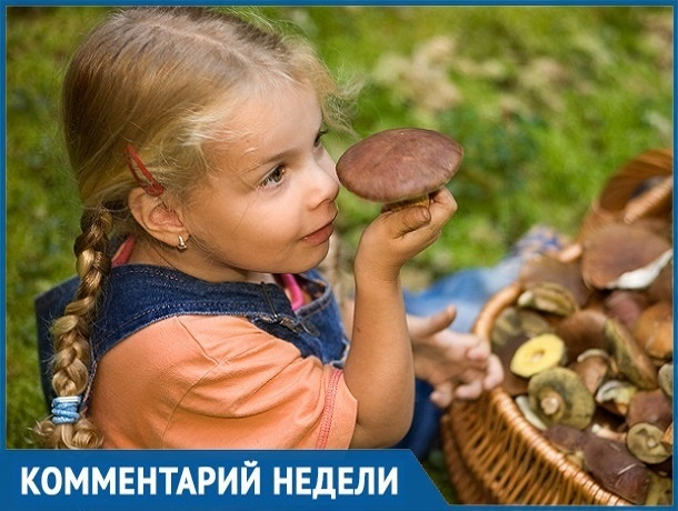 «Сезон открыт»: как отличить ядовитый гриб от хорошего рассказал ставропольский биолог