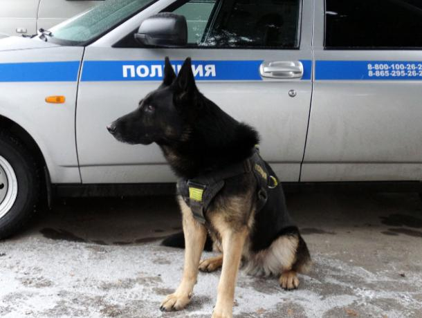 На Ставрополье служебная собака нашла крупную партию наркотических средств