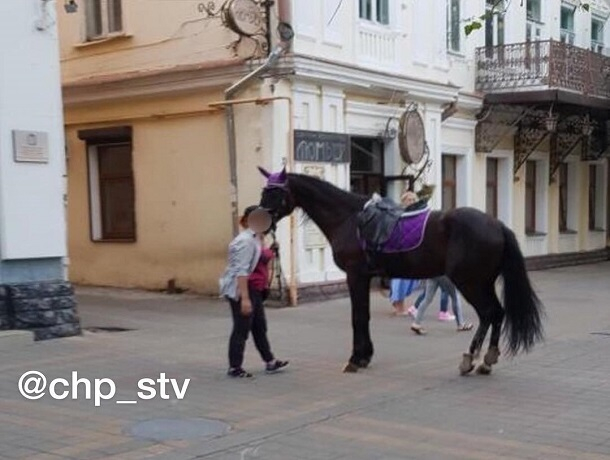 Испуганная лошадь сбила женщину с ребенком в Центральном парке Ставрополя