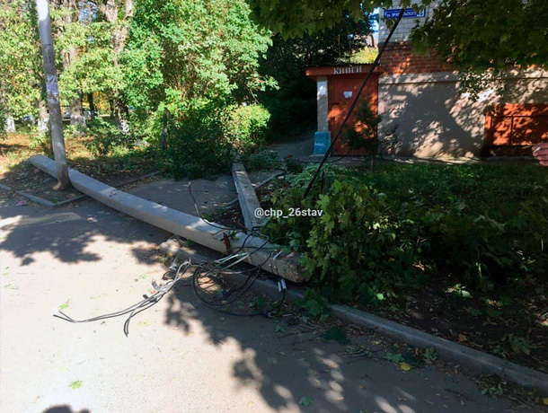 Дерево рухнуло вместе со столбами на улице в Ставрополе