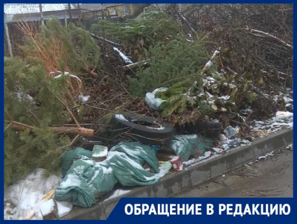 «Я не я и хата не моя»: компании не желают нести ответственность за стихийную свалку в Ставрополе