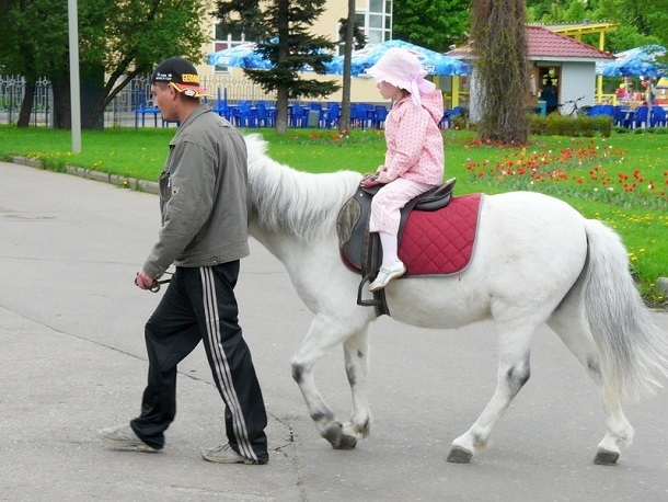 Аттракционы в городских парках проверят после инцидента со сбившей людей лошадью в Ставрополе