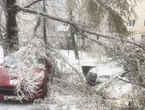 Оледеневшие ветки рухнули на припаркованные авто в Ставрополе