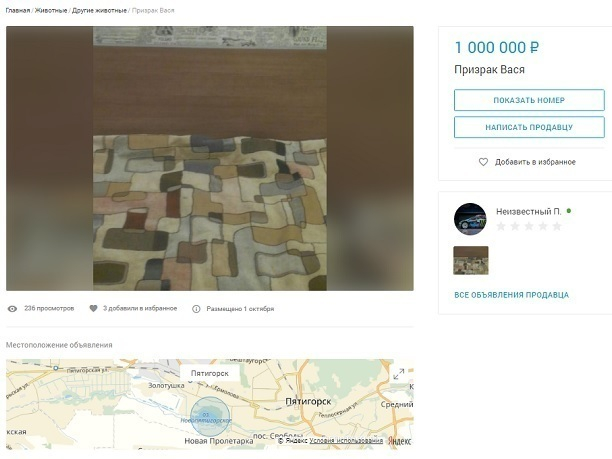 Призрака Васю за миллион рублей продает житель Ставрополья
