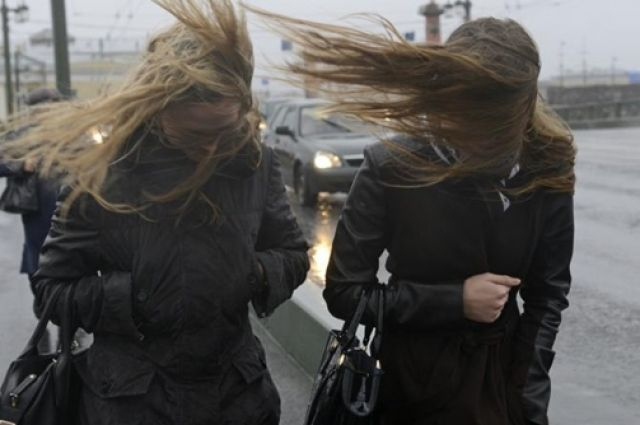 На Ставрополье синоптики обещают сильный ветер в выходные