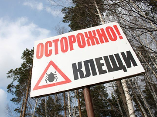 Три человека на Ставрополье заразились крымской геморрагической лихорадкой