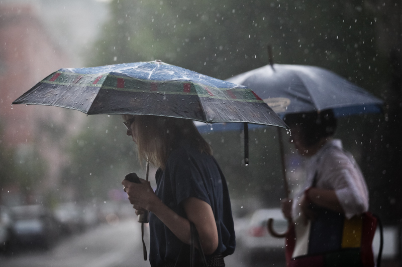 Гидрометцентр обещает сильный дождь, град и порывистый ветер на Ставрополье