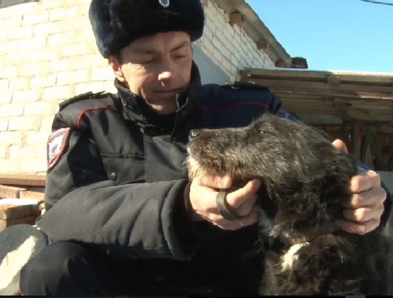 Ставропольский полицейский стал хозяином расстрелянной собаки