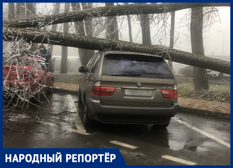 Ветер разломал деревья и повредил машины в Ставрополе