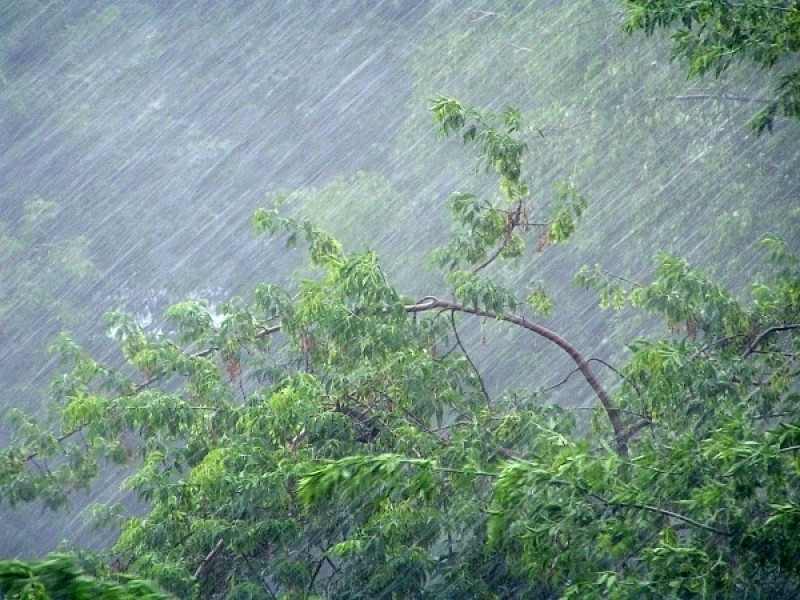 Гроза, дождь и ветер ожидаются на Ставрополье 17 августа