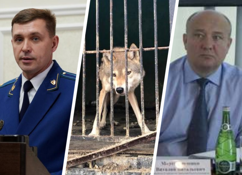 Прокурора Ставрополья и главу Россельхознадзора попросили заинтересоваться беспределом в зоопарке «Берендеево»
