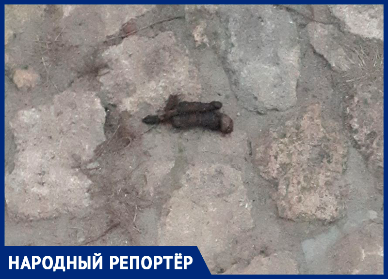 Фекалии собаки рядом с мемориальной плитой возмутили жительницу Ставрополя