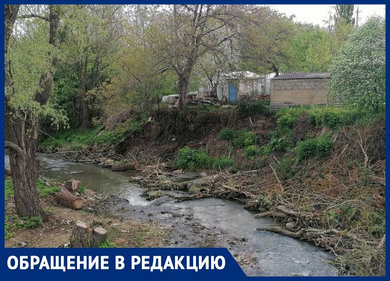 Захламленный сухостоем и бытовым мусором берег реки изумил жителей Ставрополя