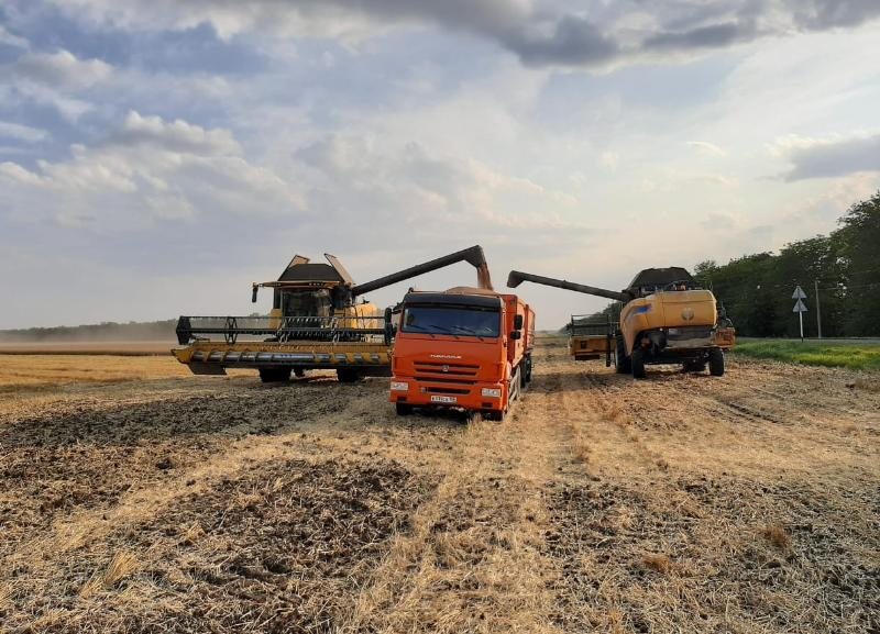 Новоалександровский горокруг лидирует по урожайности зерновых на Ставрополье