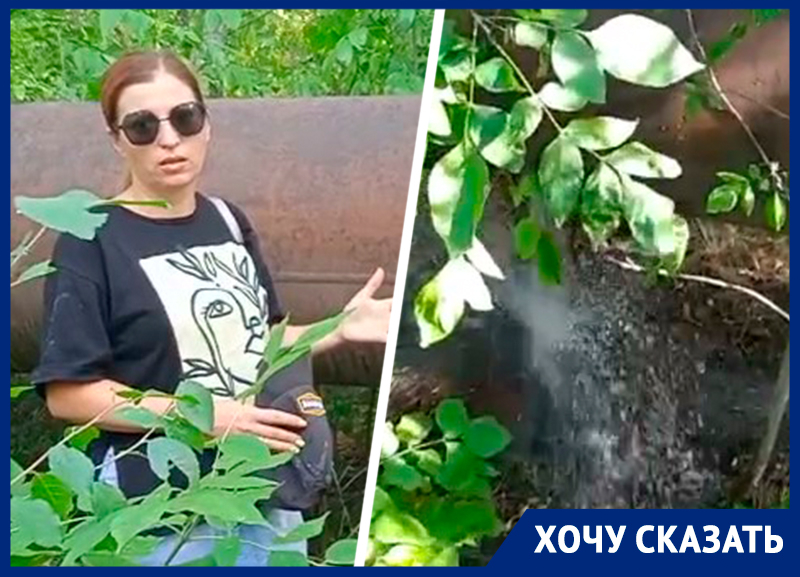 Древняя труба грозит залить фекалиями лес и оставить жителей Ставрополя без канализации