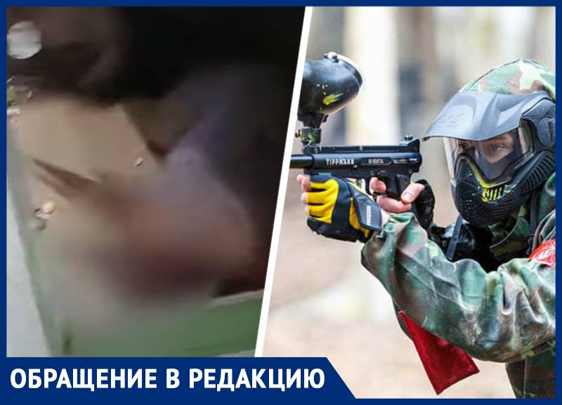 Белок в парке расстреливают из пейнтбольного пистолета в Ставрополе