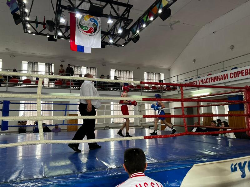 Ставропольские боксеры ударно потрудились на рингах Балашихи и станицы Суворовской