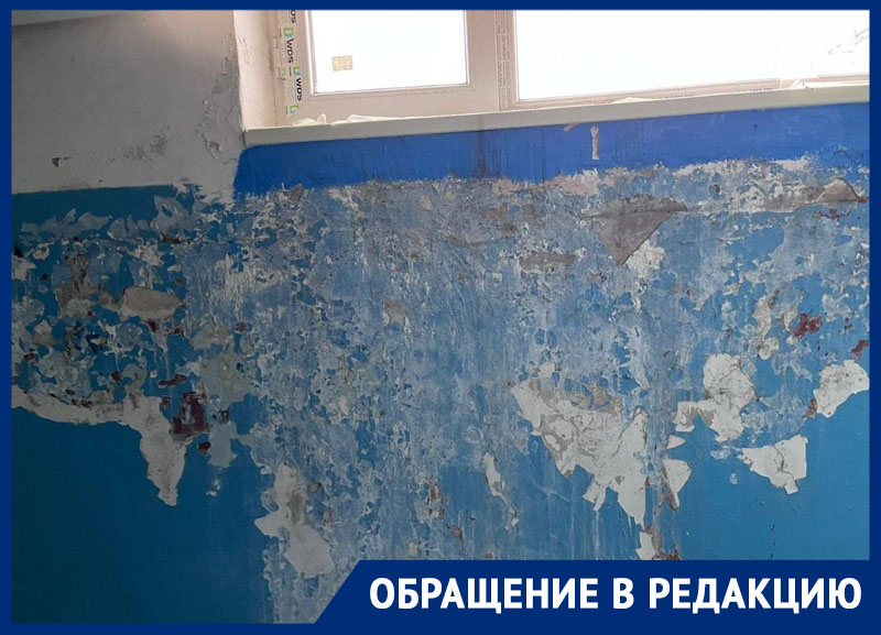 Обшарпанные стены и облупившаяся штукатурка приветствуют жителей одного из домов в Ставрополе