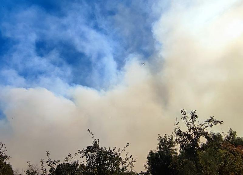 Горели больше 10 гектаров: несколько пожаров зафиксировали в окрестностях Ставрополя 19 сентября