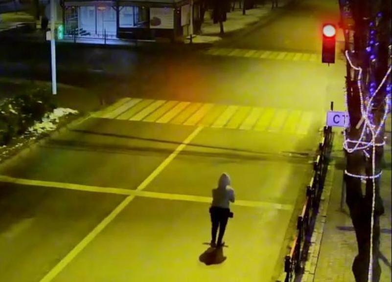 Обманувший дорожную камеру шутник найден на Ставрополье