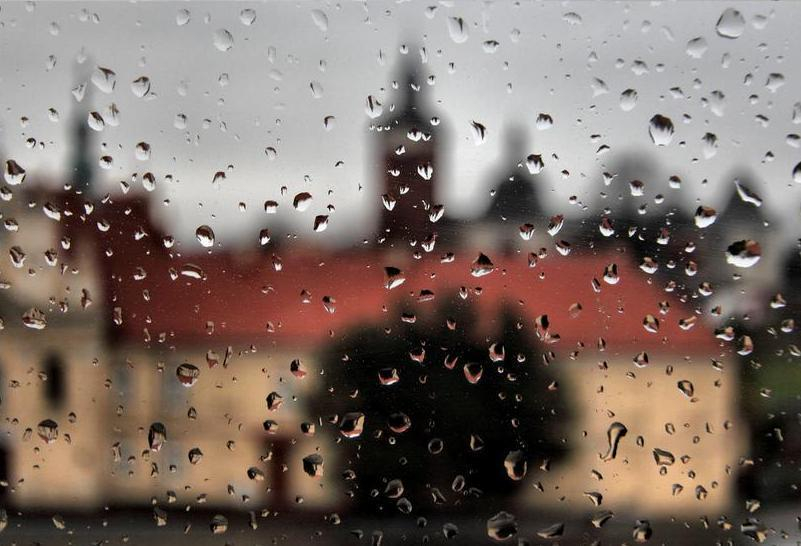 Первый день весны на Ставрополье будет дождливым