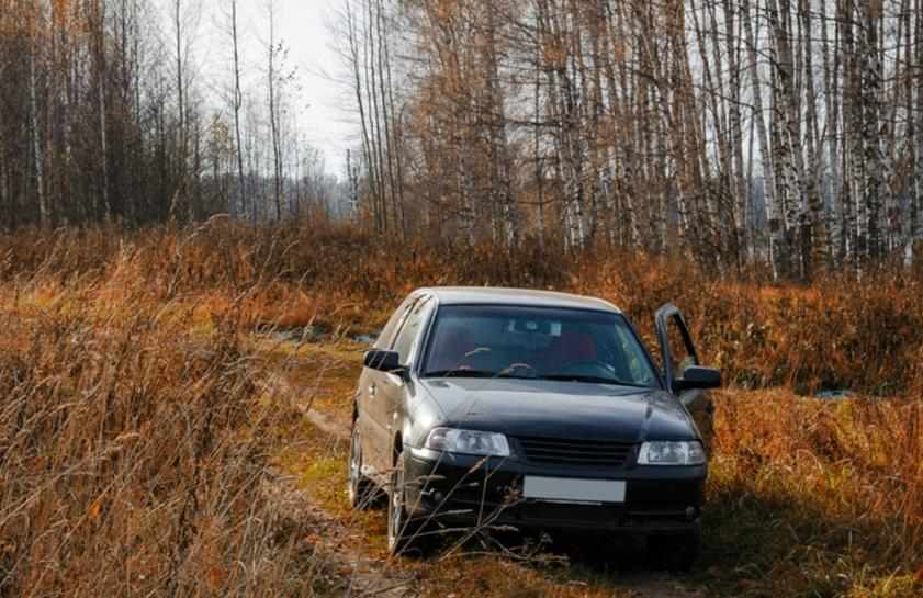 В Ставрополе водитель пытался скрыться от автоинспекторов в лесу