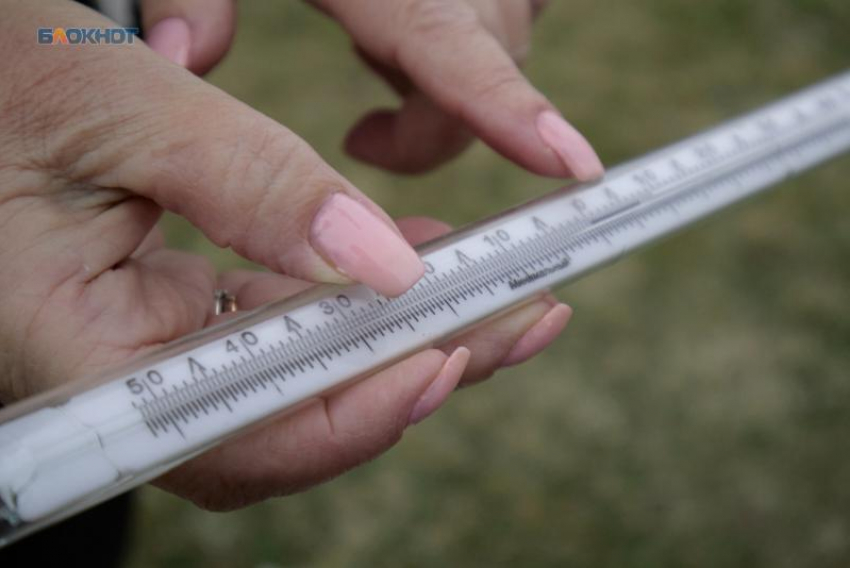 До +20 градусов поднимется температура в начале рабочей недели на Ставрополье