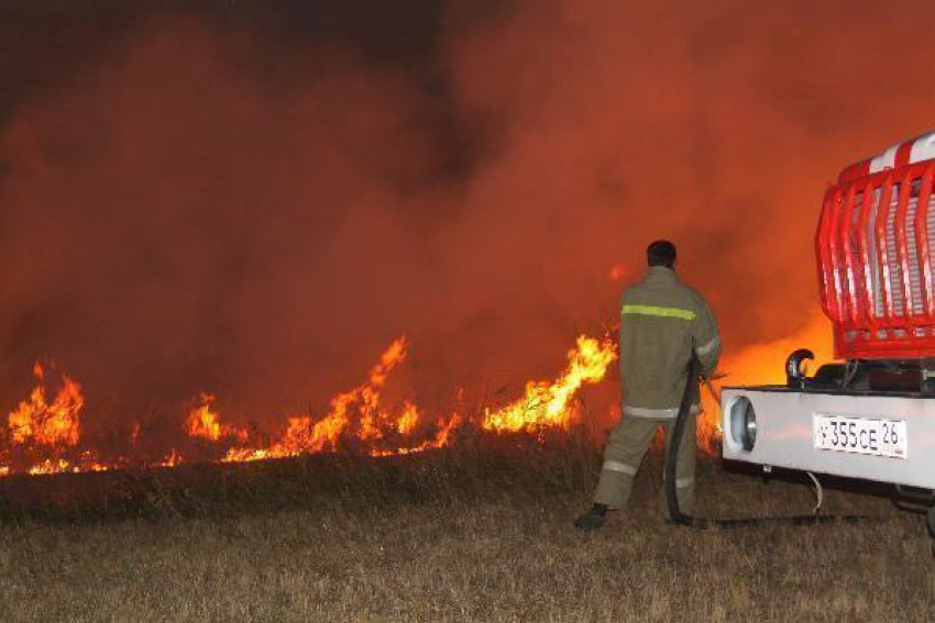 Пожар уничтожил пчелиные ульи на ставропольской пасеке