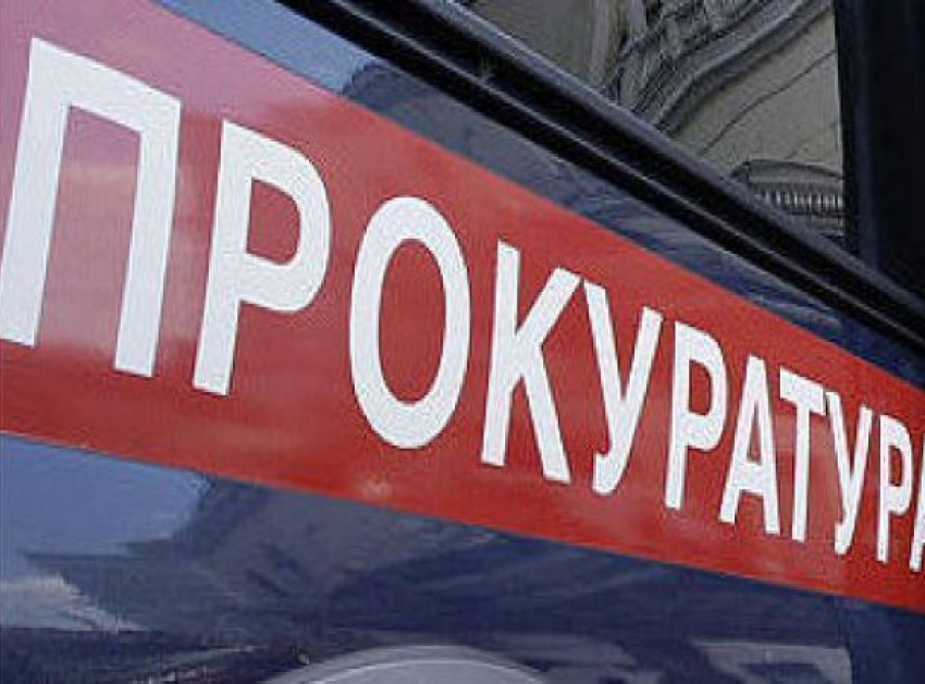 Опубликованной в СМИ информацией о рубке деревьев заинтересовались в прокуратуре Кисловодска