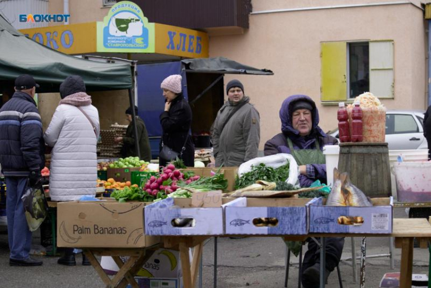 Ставрополье оказалось в хвосте рейтинга по уровню безработицы в 2023 году
