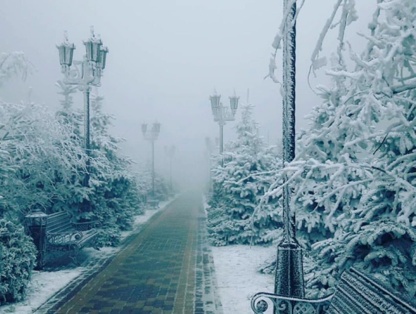 На Ставрополье холодает: гололед, обледеневшие деревья и замерзающий туман