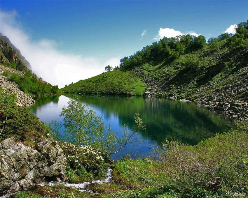 Активисты Ставропольского Центра гражданских инициатив против закона ГД РФ о строительстве на территории заповедников