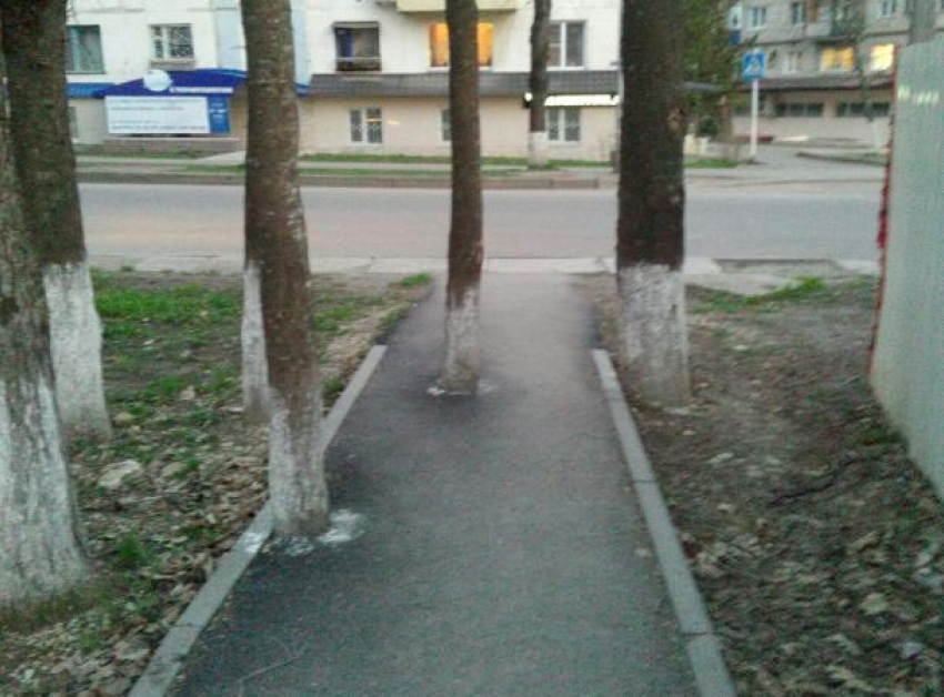 Дерево посреди тротуарной дорожки мешает проходу пешеходов в Пятигорске