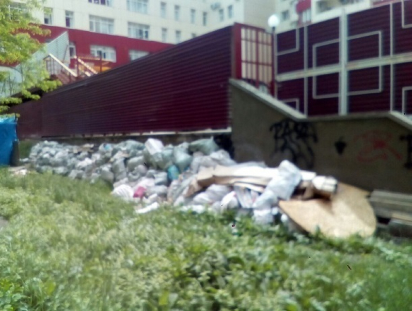 «Горы мусора в центре города – это просто позор», - житель Ставрополя
