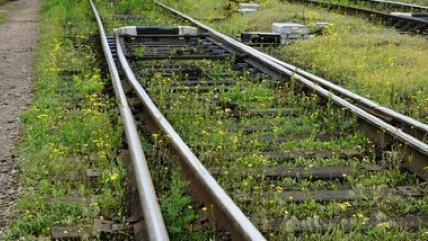 Упавшие на железную дорогу деревья задерживают поезд Адлер-Кисловодск