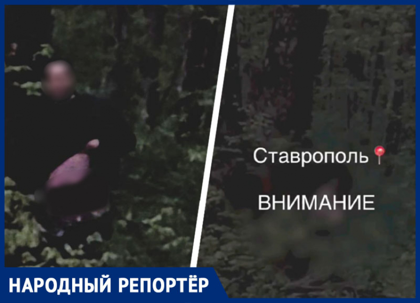 Очередного онаниста встретили в одном из лесов Ставрополя
